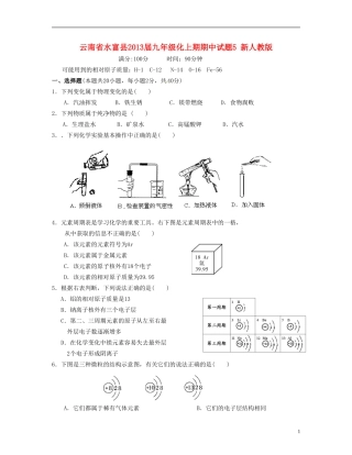 云南省水富县2013届九年级化上期期中试题5 新人教版