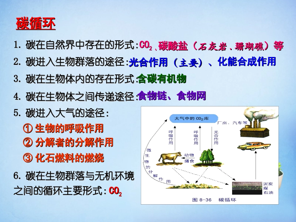 黑龙江省大庆市三十五中高中生物5.3生态系统的物质循环课件新人教版必修3_第3页