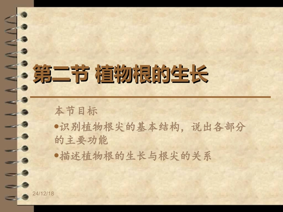 植物根的生长_第1页