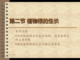植物根的生长