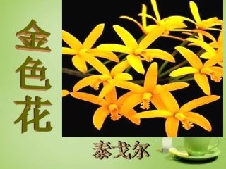 七年级语文上册4金色花课件2新版新人教版