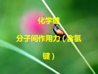 化学键分子间作用力(含氢键)