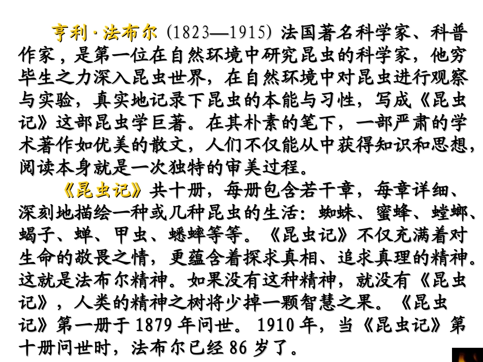 人教版三年级语文上册第14课《蜜蜂》第一课时PPT课件_第2页