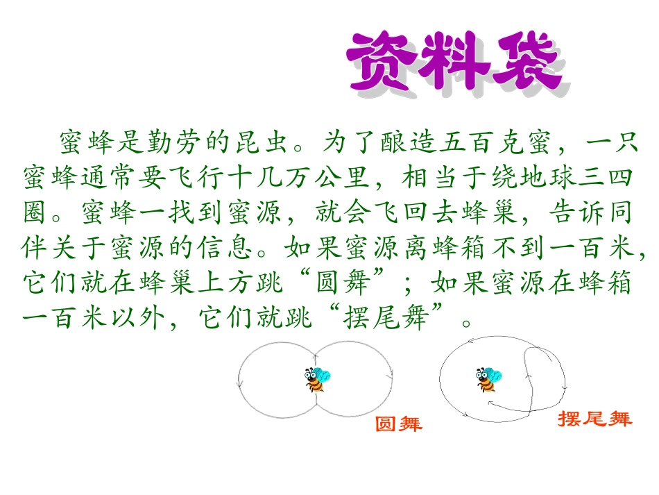 人教版三年级语文上册第14课《蜜蜂》第一课时PPT课件_第3页