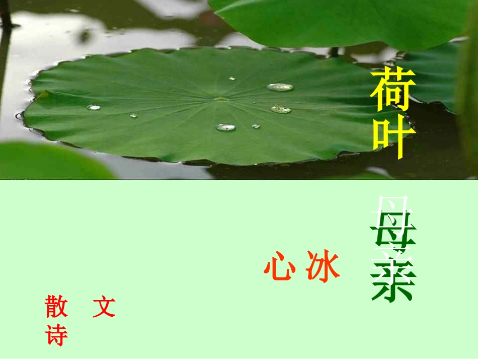 荷叶母亲 (5)_第1页