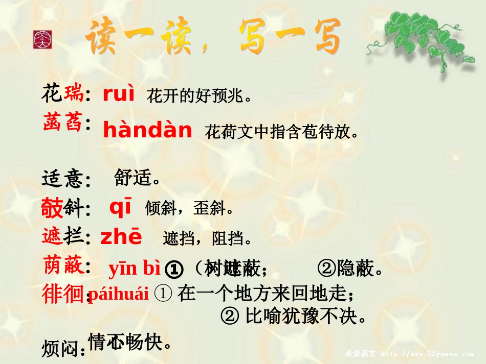 荷叶母亲 (5)_第3页