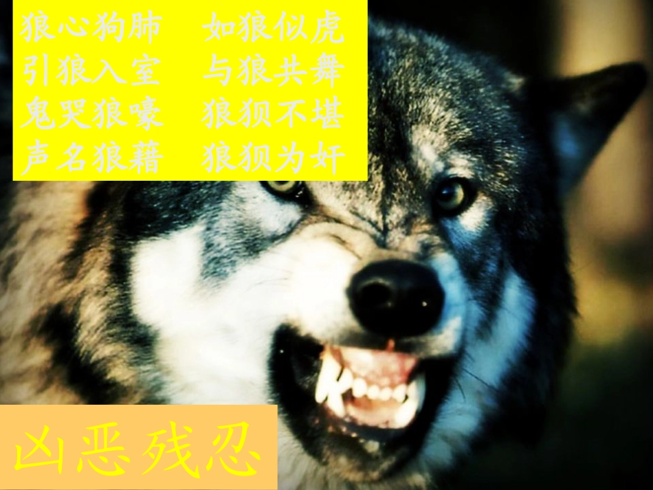 六年级上册《鹿与狼的故事》_第2页