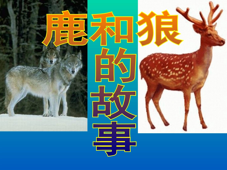 六年级上册《鹿与狼的故事》_第3页