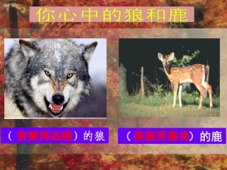 六年级上册《鹿与狼的故事》