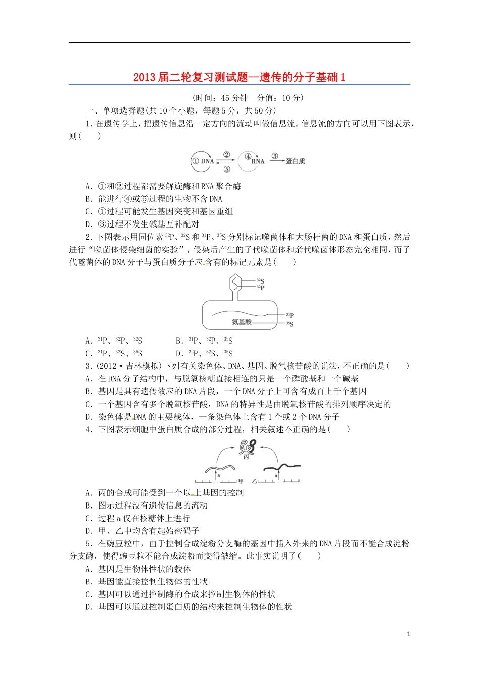 （通用版）2013届高三二轮复习 遗传的分子基础1测试题_第1页