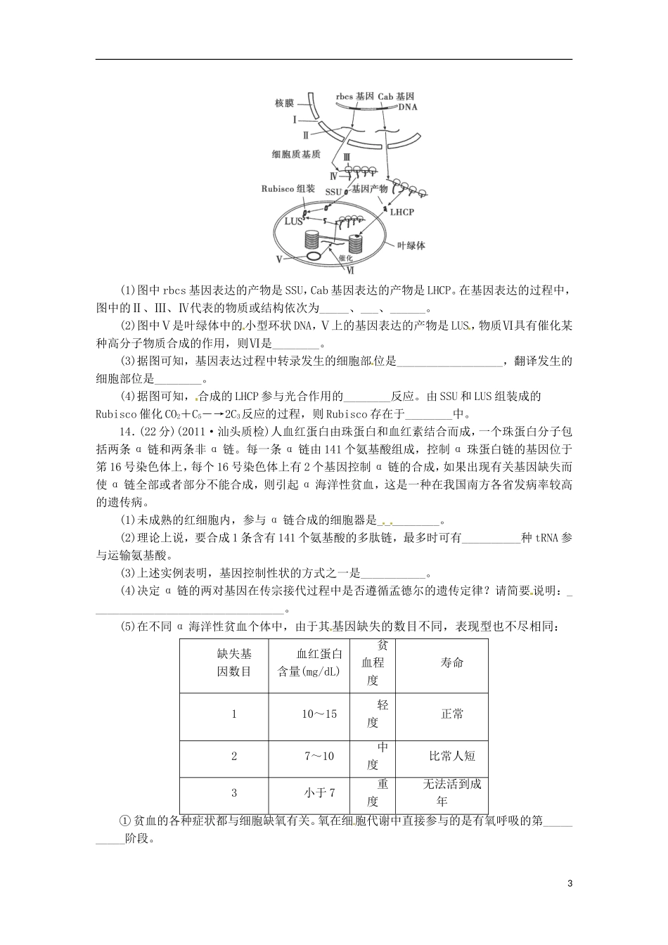 （通用版）2013届高三二轮复习 遗传的分子基础1测试题_第3页