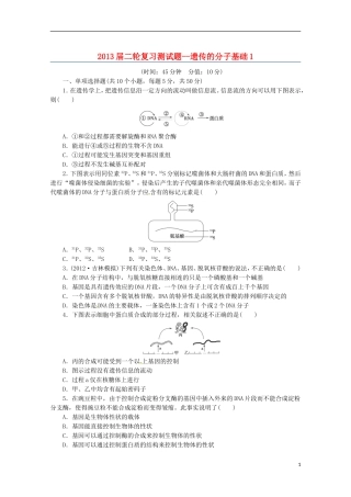 （通用版）2013届高三二轮复习 遗传的分子基础1测试题