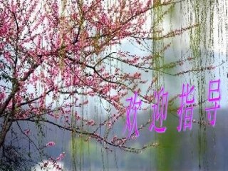 《音乐巨人贝多芬》课件