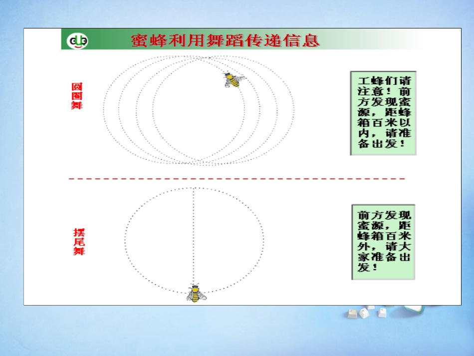 江西省安义中学高中生物5.4生态系统的信息传递课件新人教版必修3_第3页