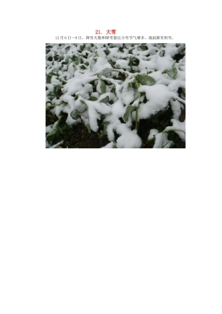2015年高中地理24节气摄影素材21大雪