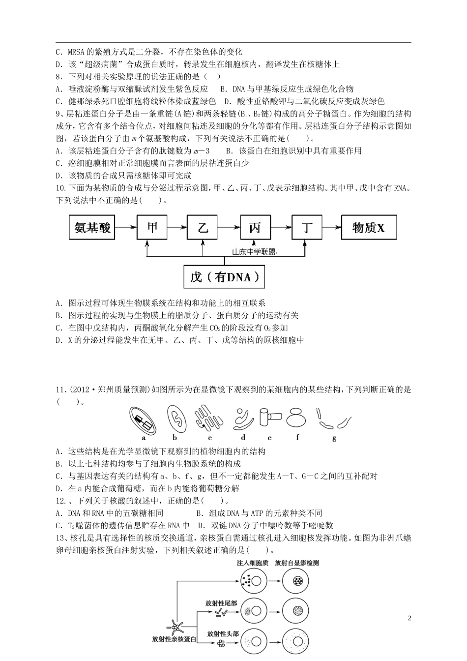 山东省2016届高三生物上学期第三次月考试题_第2页