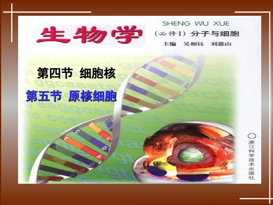 《细胞核和原核生物》课件１_第1页