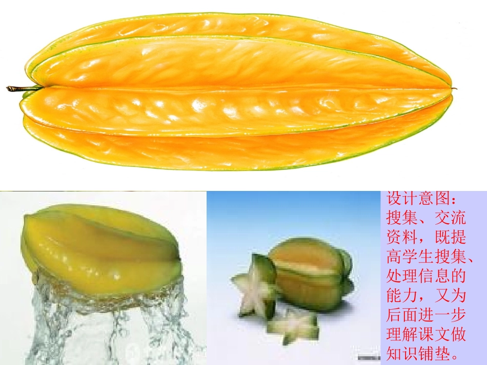《画杨桃》PPT课件_第2页