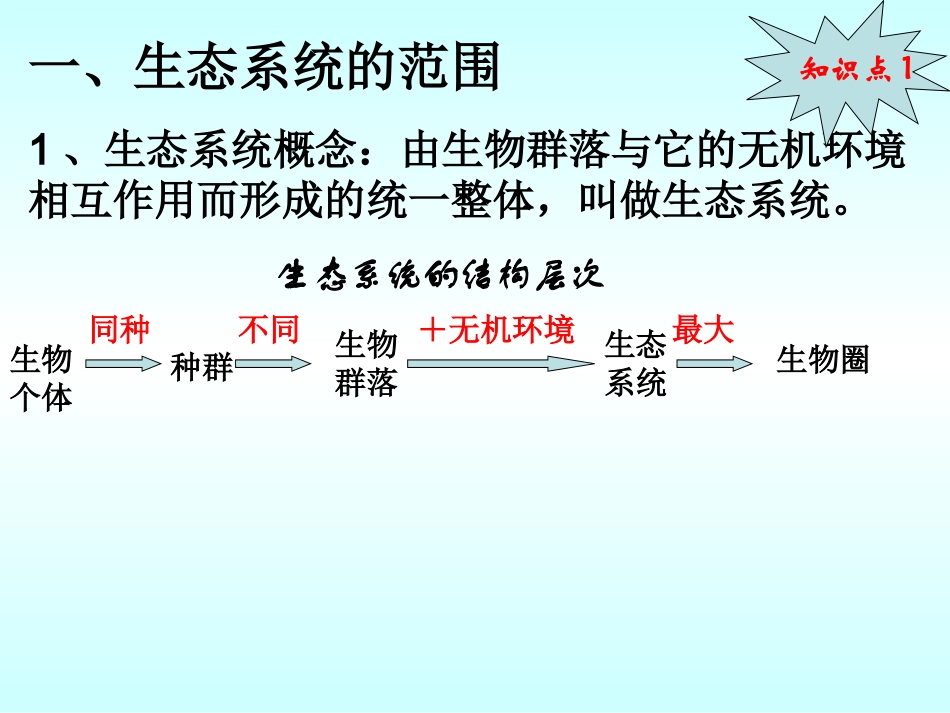 生态系统的结构 (2)_第3页