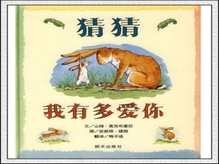 猜猜我有多爱你无字版课件