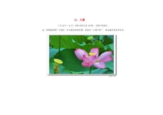 2015年高中地理24节气摄影素材12大暑