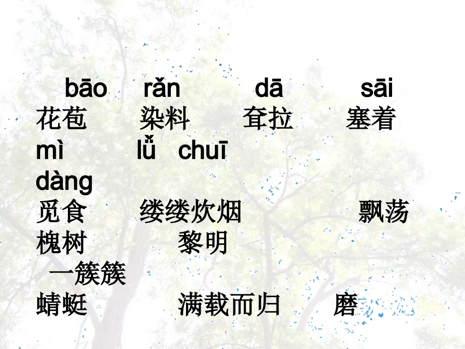 槐乡的孩子课件_第2页