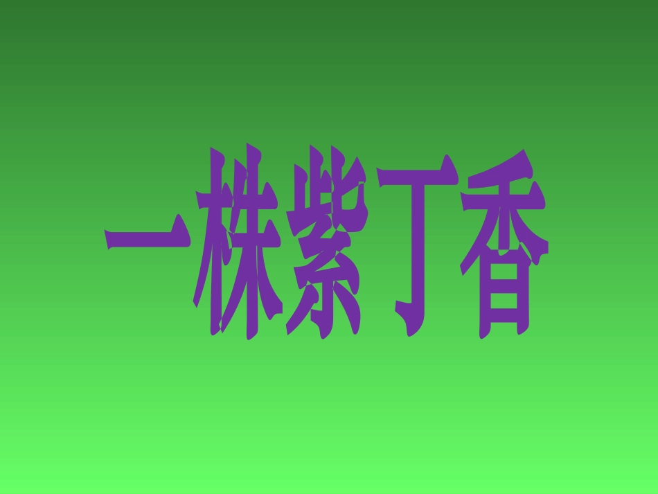 《一株紫丁香》_第3页