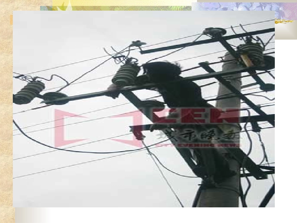 物质的导电性_第1页