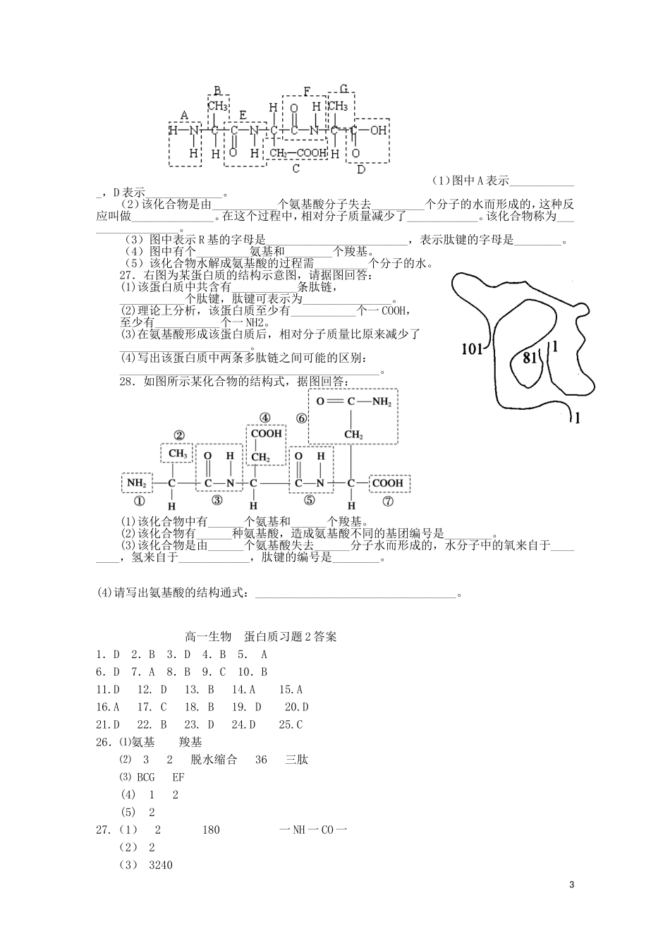 河北省枣强中学2015_2016高一生物蛋白质作业_第3页