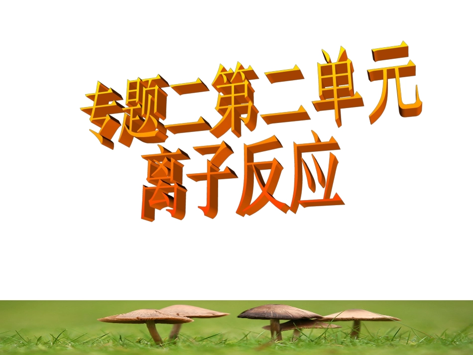 离子反应 (4)_第1页