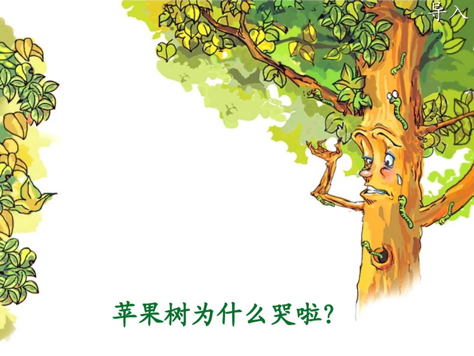 幼儿园大班社会音乐欣赏啄木鸟课件_第3页