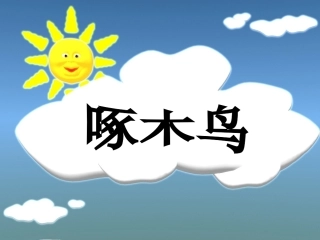 幼儿园大班社会音乐欣赏啄木鸟课件