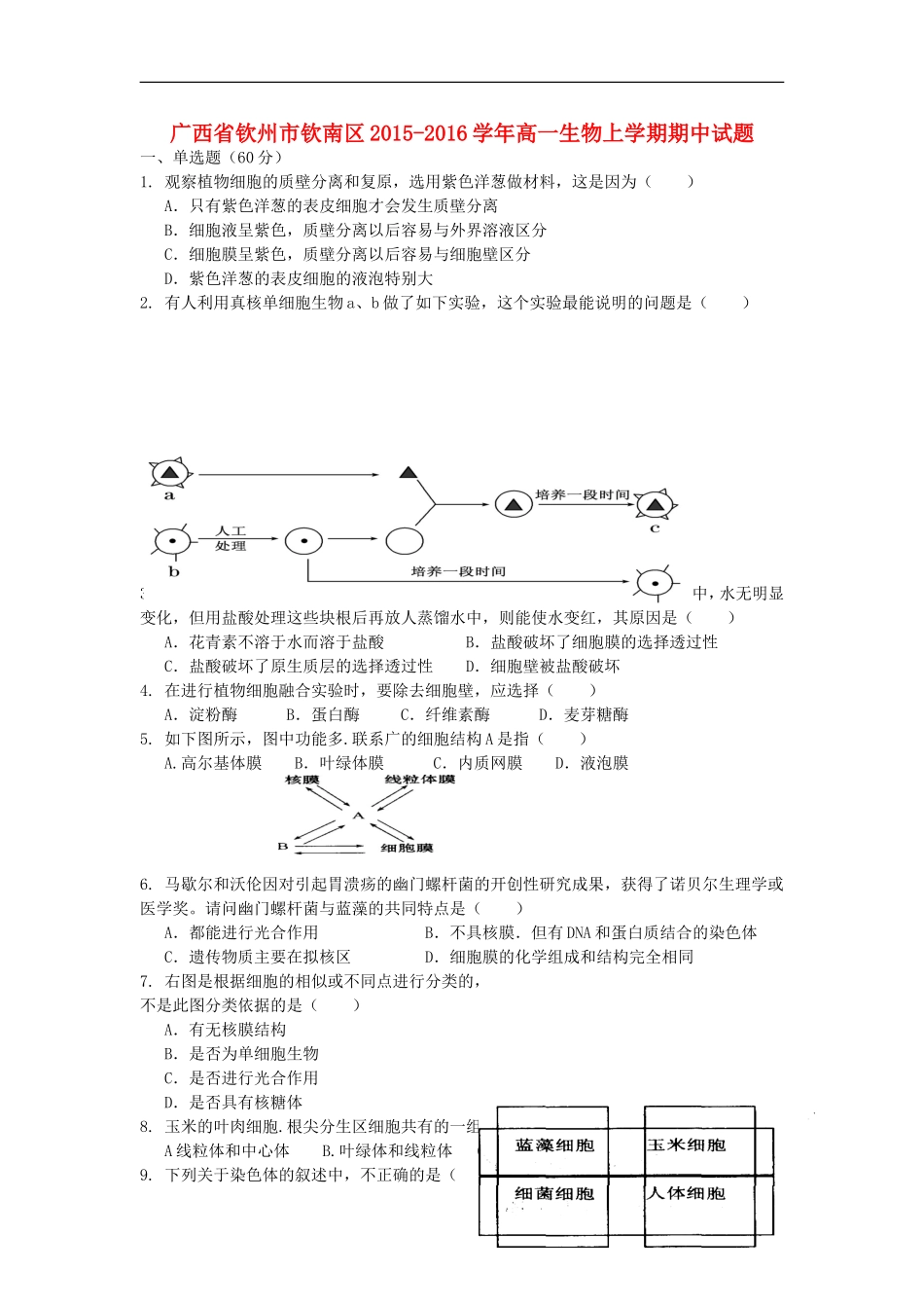 广西钦州市钦南区2015_2016学年高一生物上学期期中试题_第1页