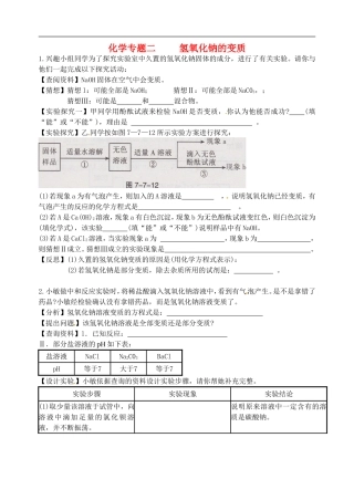 广东省河源市南开实验学校2015届中考化学专题复习氢氧化钠的变质无答案
