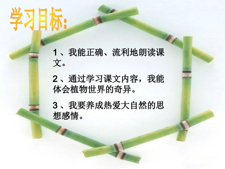 奇异的植物世界_第2页