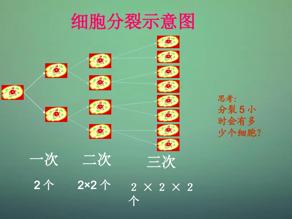 2015_2016七年级数学上册2.9有理数的乘方课件新版北师大版_第3页