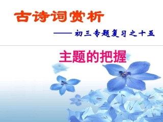 古诗词专题复习