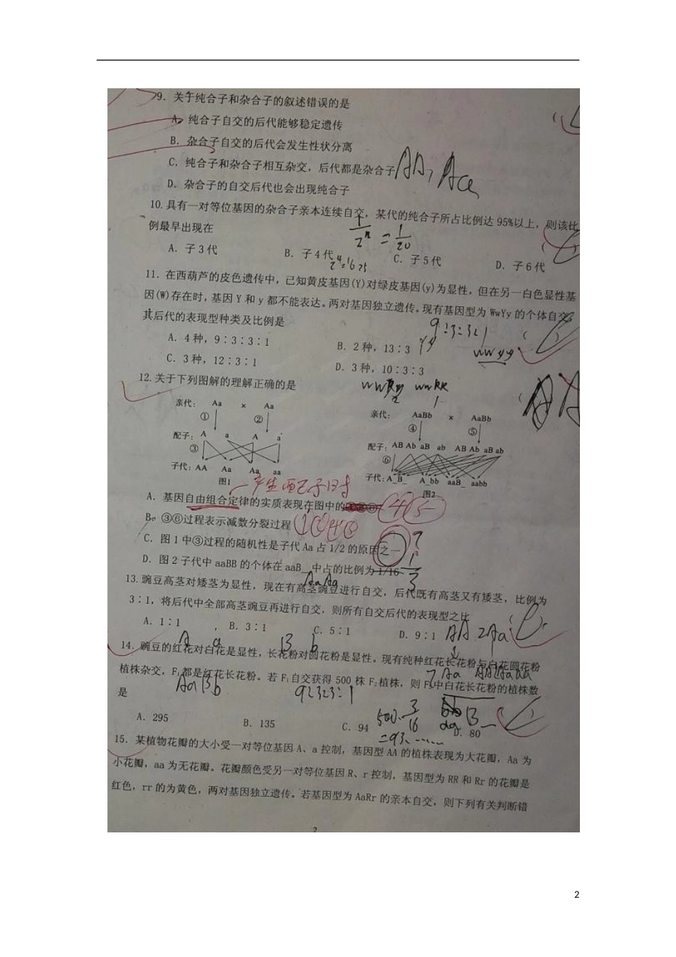 山东省临沂市第十九中学2015_2016学年高二生物上学期10月月考试题扫描版_第2页