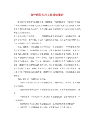 审计岗位实习工作总结报告