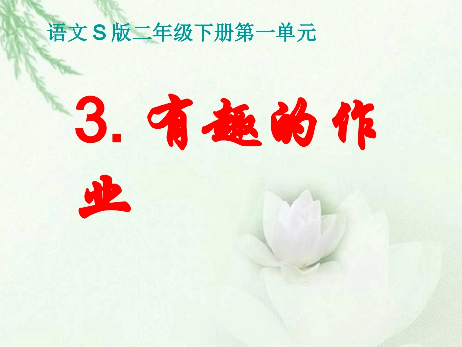 《有趣的作业》课件_第1页