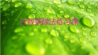 分数乘除法例4练习课