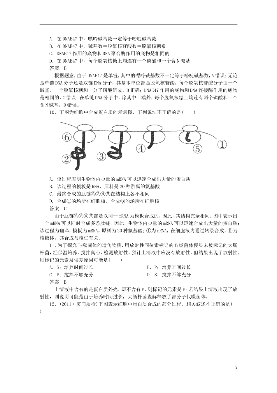 （通用版）2013届高三二轮复习 遗传的分子基础2测试题_第3页