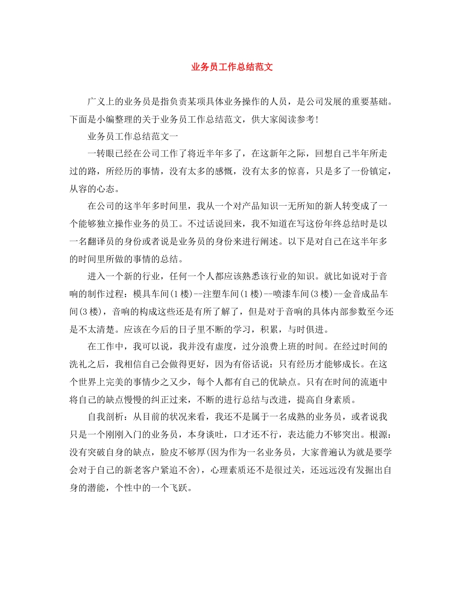 业务员工作总结范文_第1页