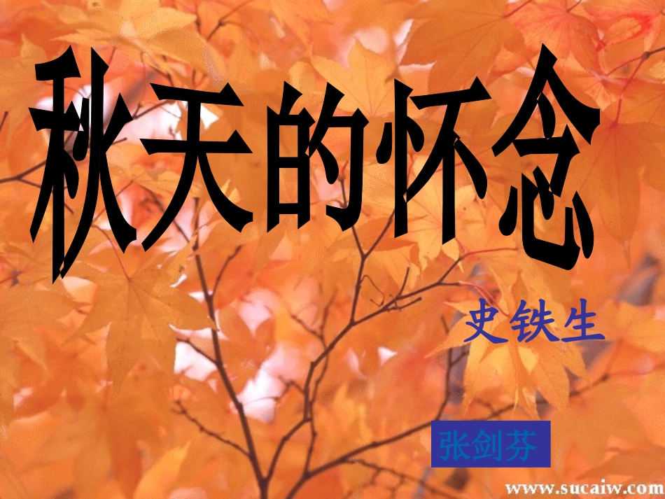 秋天的怀念yong(2)_第1页