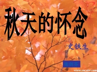 秋天的怀念yong(2)