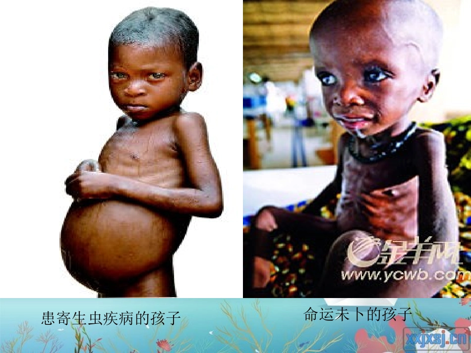 梦想的力量课件 (3)_第3页