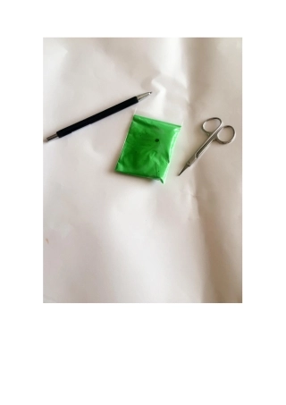 小松树图片版赵宁