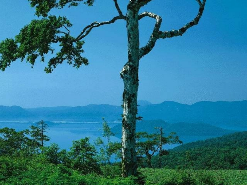 春-朱自清324_第3页
