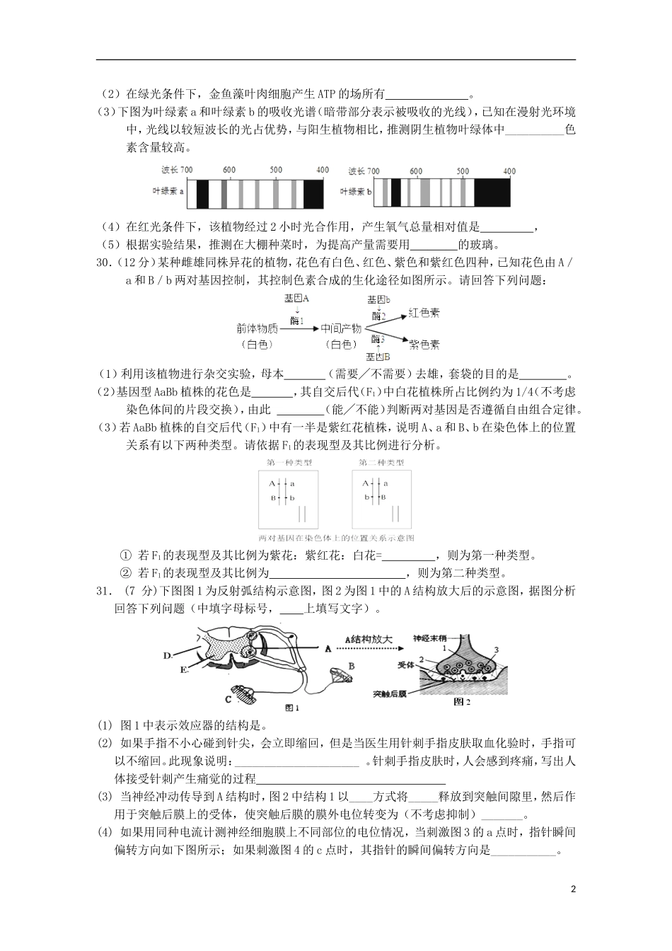 甘肃省张掖市第二中学2016届高三生物上学期10月月考理综试题含解析_第2页
