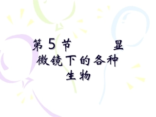 显微镜下的各种生物